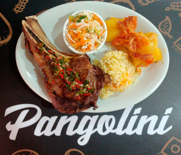 Opinii despre Pangolini în Manizales - Gastronomía y hostelería