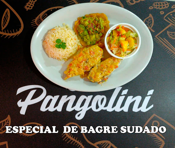 Comentarii opinii despre Pangolini