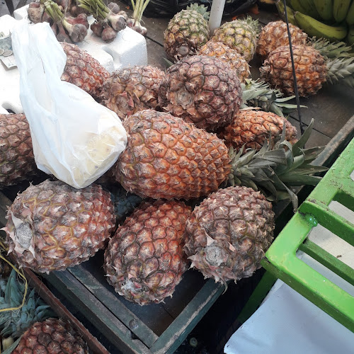 Comentarii opinii despre Mercado Publico