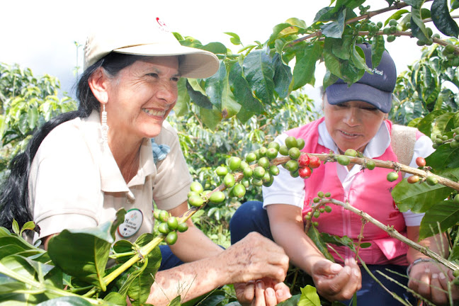 Comentarii opinii despre Soy Cafeliz (coopmuscafé)