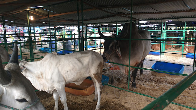 Restaurante El Ranchito de Lucho - Puerto Boyacá