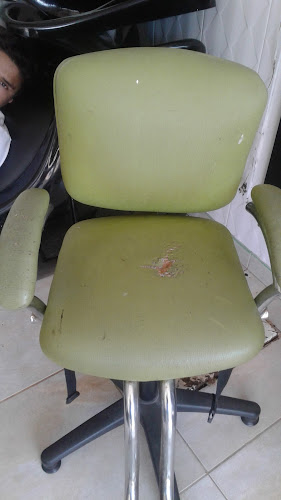 ICE CREAM SHOP Villavo