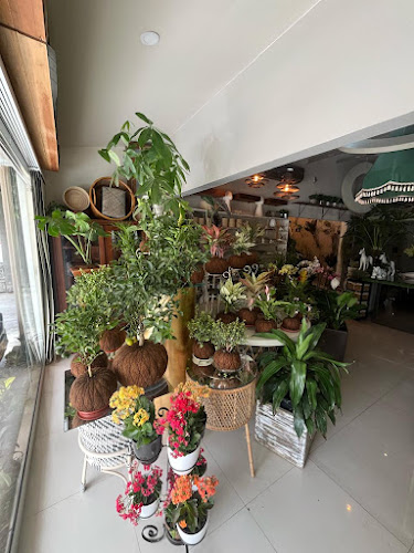 Mele Floristeria y Plantas