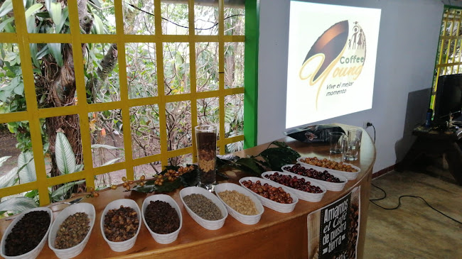 Coffee Young