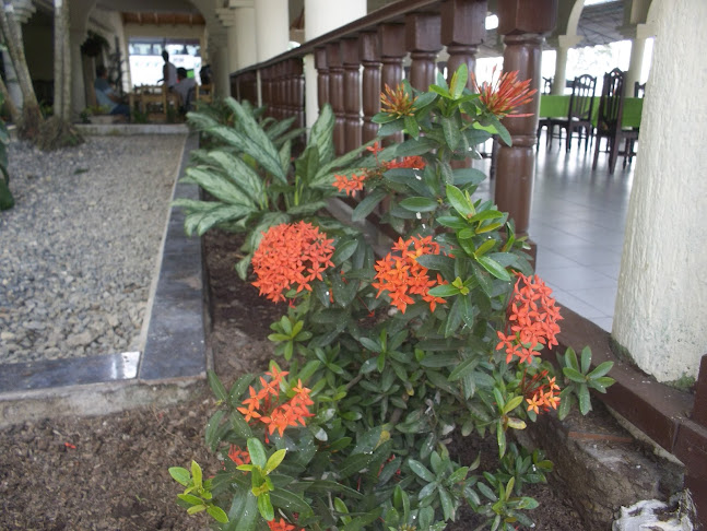 Opinii despre Restaurante Paso al Caribe în Sahagún - Gastronomía y hostelería