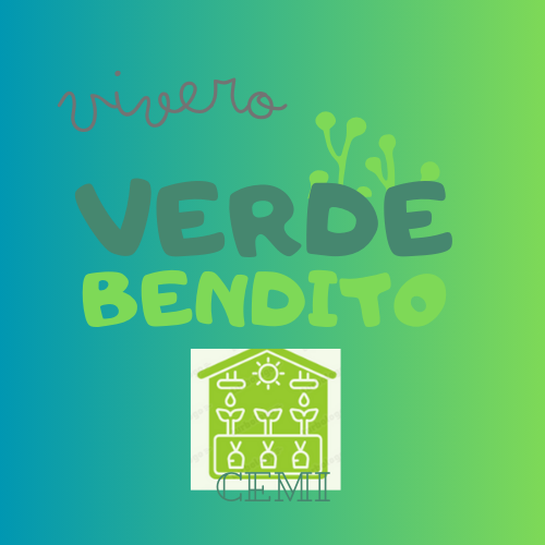 Fresas Orgánicas ACEM