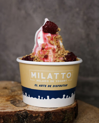 Milatto Helado de yogurt - Gastronomía y hostelería