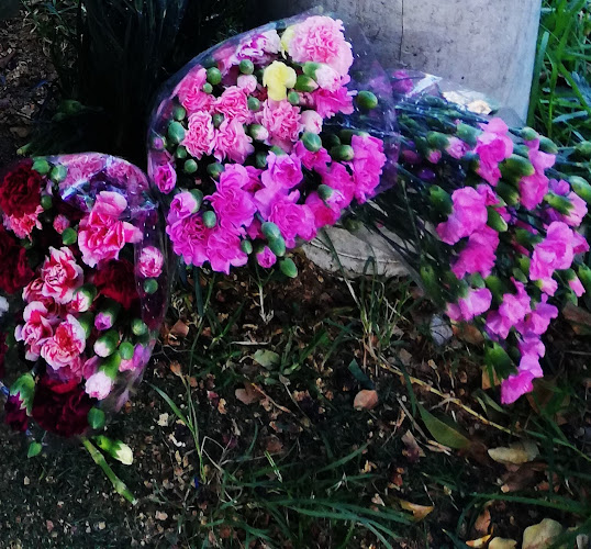 Mercado campesino - Envigado