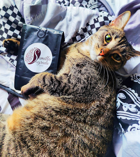 Semilla Sagrada Café