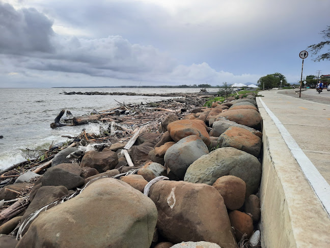 Roots Bar Jhon Jairo Trellez - Gastronomía y hostelería
