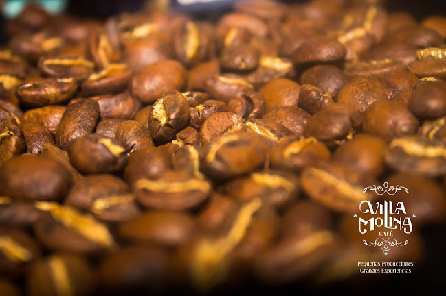 CAFÉ VILLA MOLINA SAS - Pitalito