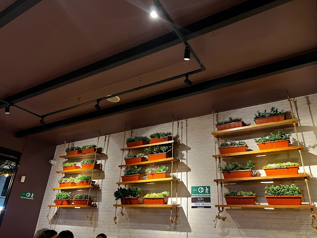 Villa Italia (Circunvalar) - Pereira