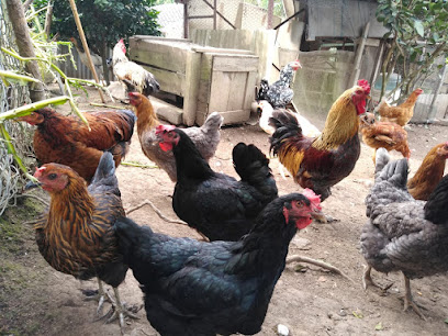 FINCA CASA VARGAS ROBLES