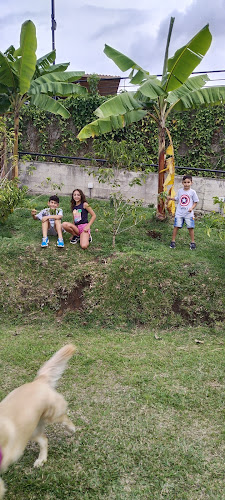 Mirador del Café - Piqueteadero - Gastronomía y hostelería