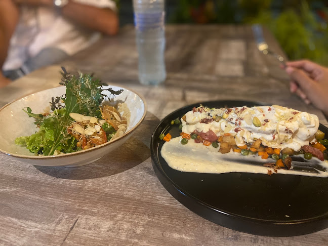 LA CONQUISTA DEL CHEF DONALD