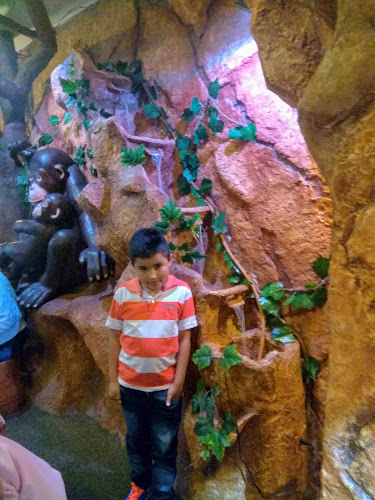 Opinii despre Mr. Layton Burger Facatativá în Facatativá - Gastronomía y hostelería