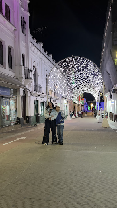 Ventanilla Única De Correspondencia F.G.N.