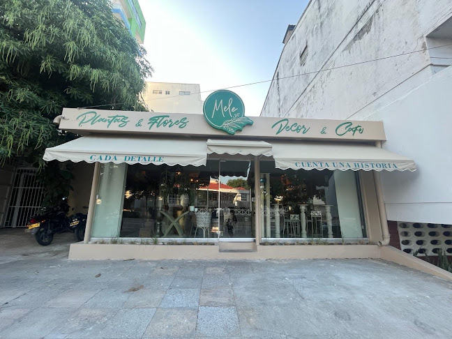 Mele Floristeria y Plantas