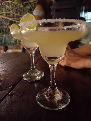 Habemus Bar - Palmira