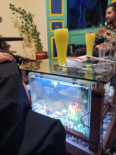 Opinii despre El sitio montenegro în Montenegro - Gastronomía y hostelería