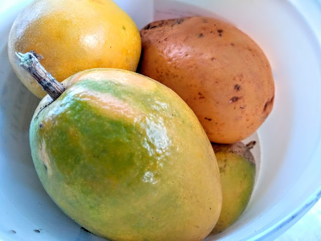 GELATI y Café - Gastronomía y hostelería