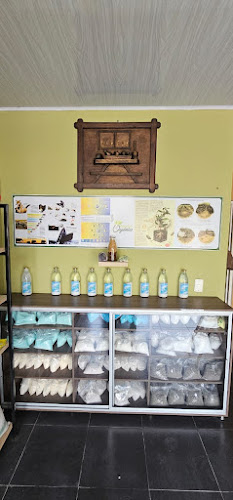 Arandia Orgánica - Yopal