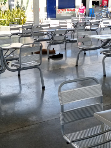 Mercado Público de Santa Marta - Santa Marta