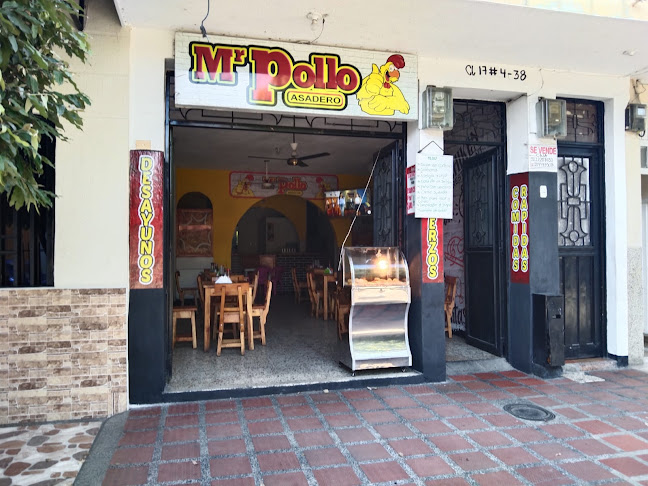 Mr pollo