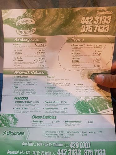 Opinii despre Wander Burger în Cali - Gastronomía y hostelería