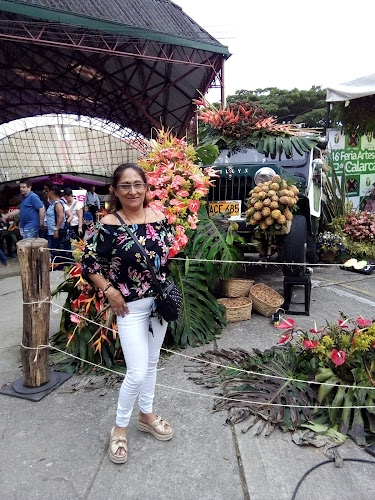 km 1 vía chagualá, Calarcá, Quindío