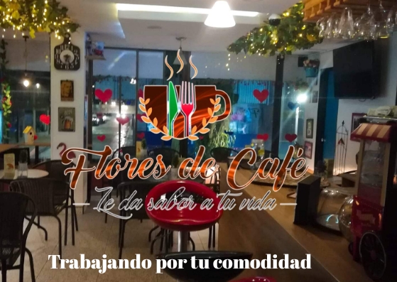 11y6 Comidas Rápidas