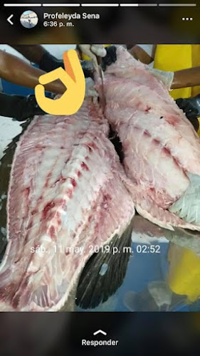 Pesquera sierra del mar - Buenaventura