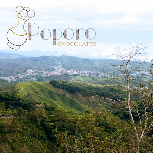 Comentarii opinii despre Chocolates Poporo