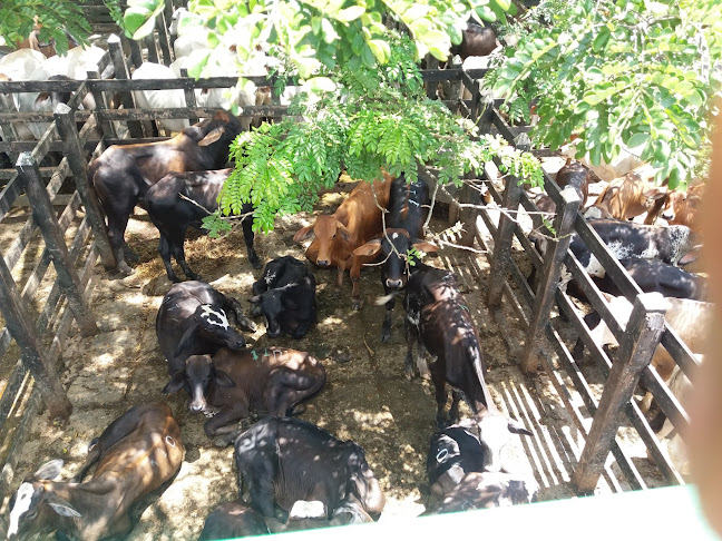 Frigorifico Del Cauca SAS - Gastronomía y hostelería