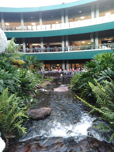 Calle 15 No. 40-01, C.C Primavera Urbana, Local 128, Villavicencio, Meta