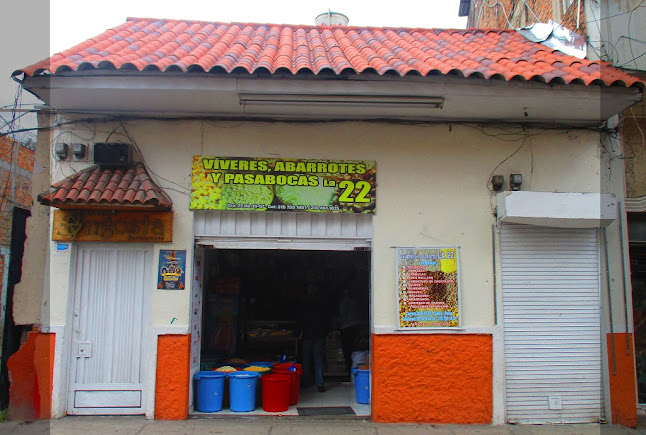 Viveres y Abarrotes la 22