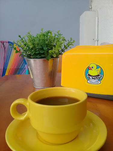 El Pato Brunch - Gastronomía y hostelería