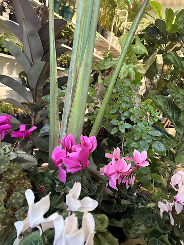 calle 13 Bogota cafeteria