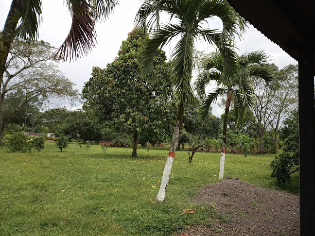 Cra. 9 #7-16, Chiquinquirá, Boyacá