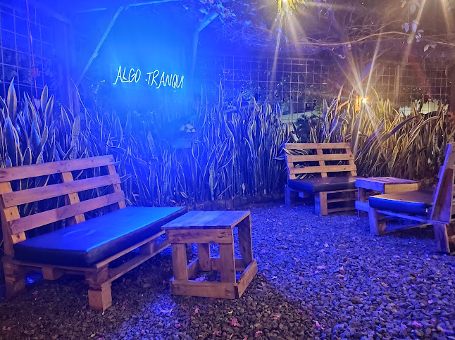 Comentarii opinii despre Habemus Bar