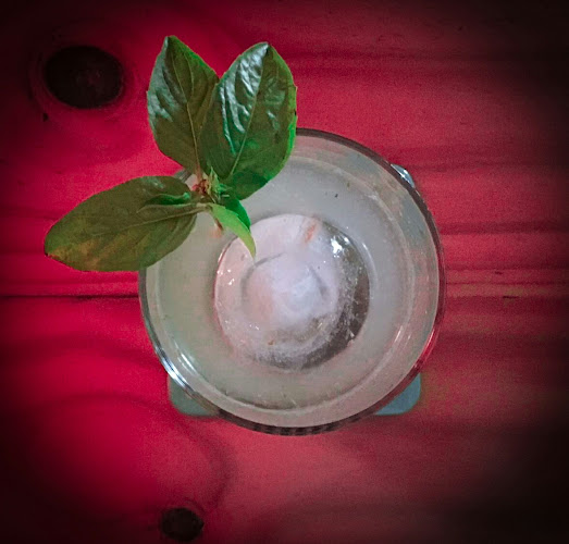 Cl. 21a # 4-15, Cartago, Valle del Cauca