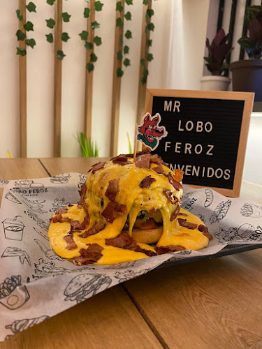 MR. Lobo Feroz - Planeta Rica