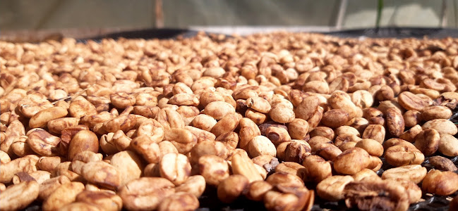 Tienda movil de "El Dicho"