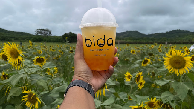 Cra. 54 #55-53 l2, Nte. Centro Historico, Barranquilla, Atlántico