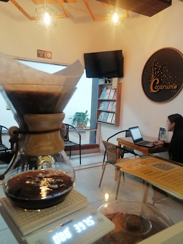 cecarumo café - La Ceja