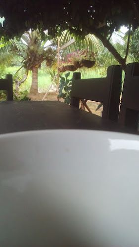 Comentarii opinii despre Bola E' Burro | Billar Y Gallera