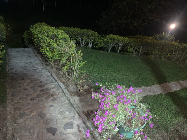 Comentarii opinii despre Ambrosía El Faro Horno a Leña