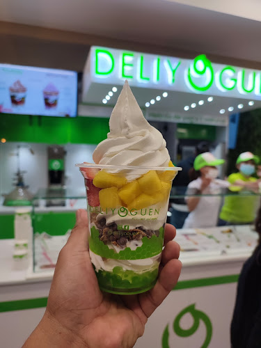 DELIYOGUEN PASTO - HELADO DE YOGURT