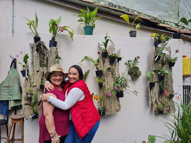 Opinii despre San Isidro în La Ceja - Gastronomía y hostelería