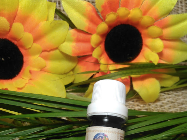 Comentarii opinii despre ACEITES ESENCIALES ORGANICOS GIANY